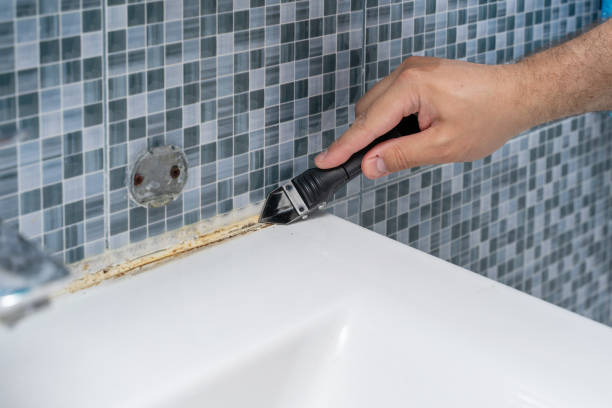 Best Mold Damage Repair  in Morris, IL
